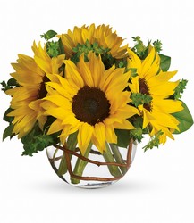 Sunny Sunflowers from Carl Johnsen Florist in Beaumont, TX